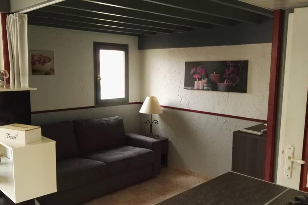 Studio Mezzanine En Residence Avec Piscine Au Village Le Barcares Luaran gambar